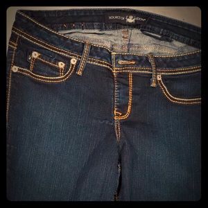 Source of Wisdom by Torrid Blue Skinny Jeans